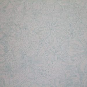 Anna Fishkin & Monika Zhu